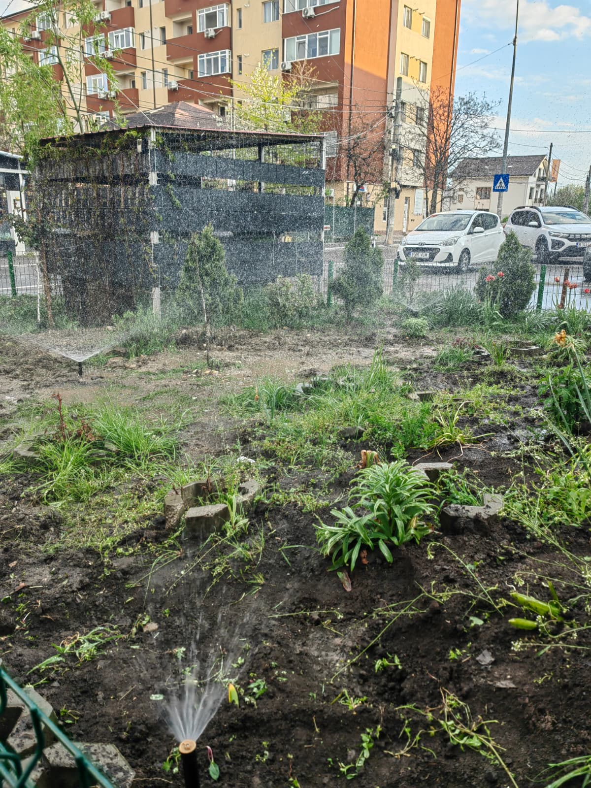 Sistem irigații automat aspersoare în funcțiune